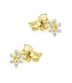 Snowflake Stud Earring STS-6933